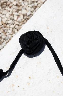 Bloom Nero