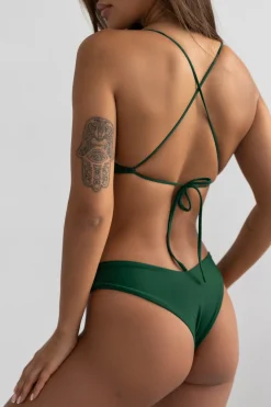 Brazilian Jungle